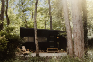 Location de tiny house dans le Loiret en forêt