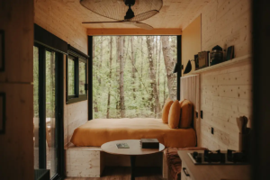 Location hébergement insolite en forêt - Tiny house Soleil